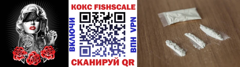 Купить  Копейск  КОКАИН Fish Scale 