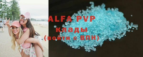сатива Куйбышев