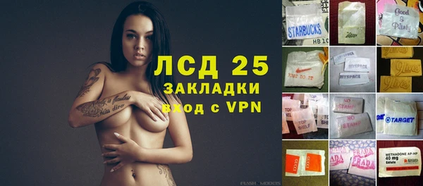 СК Кукмор