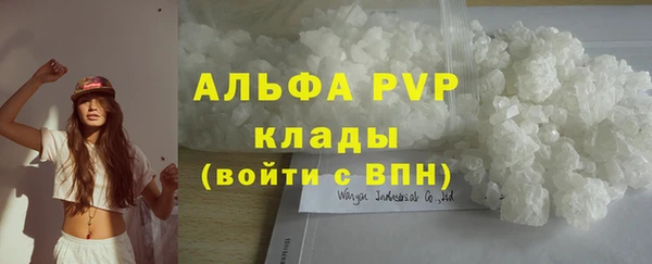 сатива Куйбышев