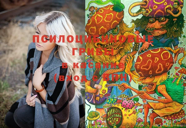 сатива Куйбышев