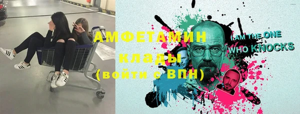 сатива Куйбышев
