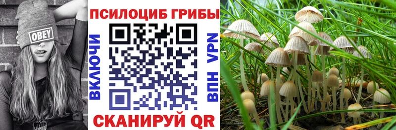 Псилоцибиновые грибы мухоморы  Купить закладки  Копейск 